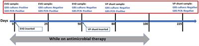 Case Report: Prolonged CSF PCR Positivity in a Neonate With GBS Meningitis